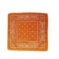 Bandana Orange 50x50cm- alt image 0